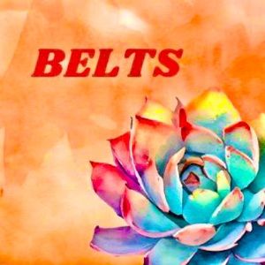 Belts